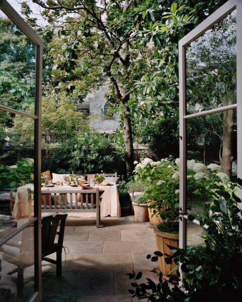 luxurious whimsical summer yard